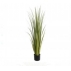 Grass (Capim) GRANDE Artificial Plantado H: 1,50m 