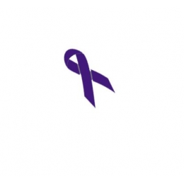 Laço Para Cadeira Elastano Roxo- 1,90X0,22M