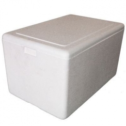 Caixa De Isopor 100L Com Tampa