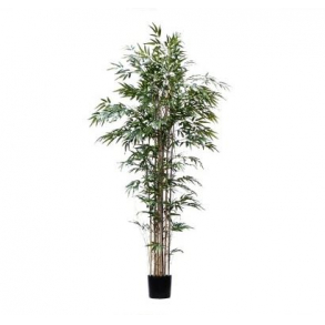 Árvore Bamboo Reto Artificial Plantado H: 1,80m 